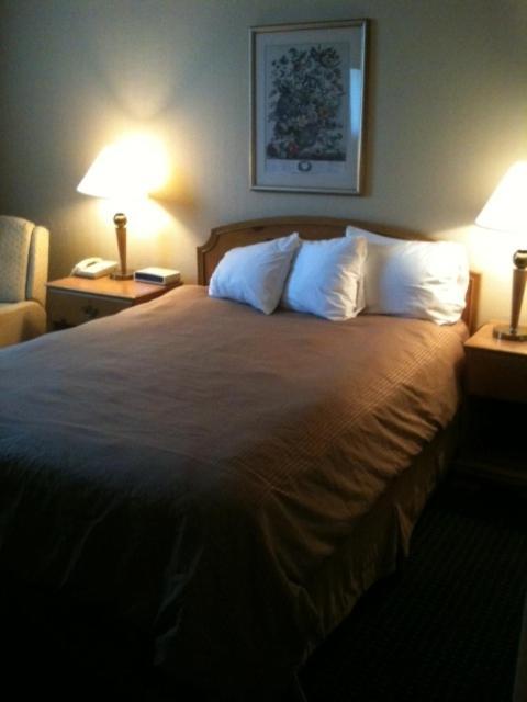 Carol Hotel Omaha Oda fotoğraf